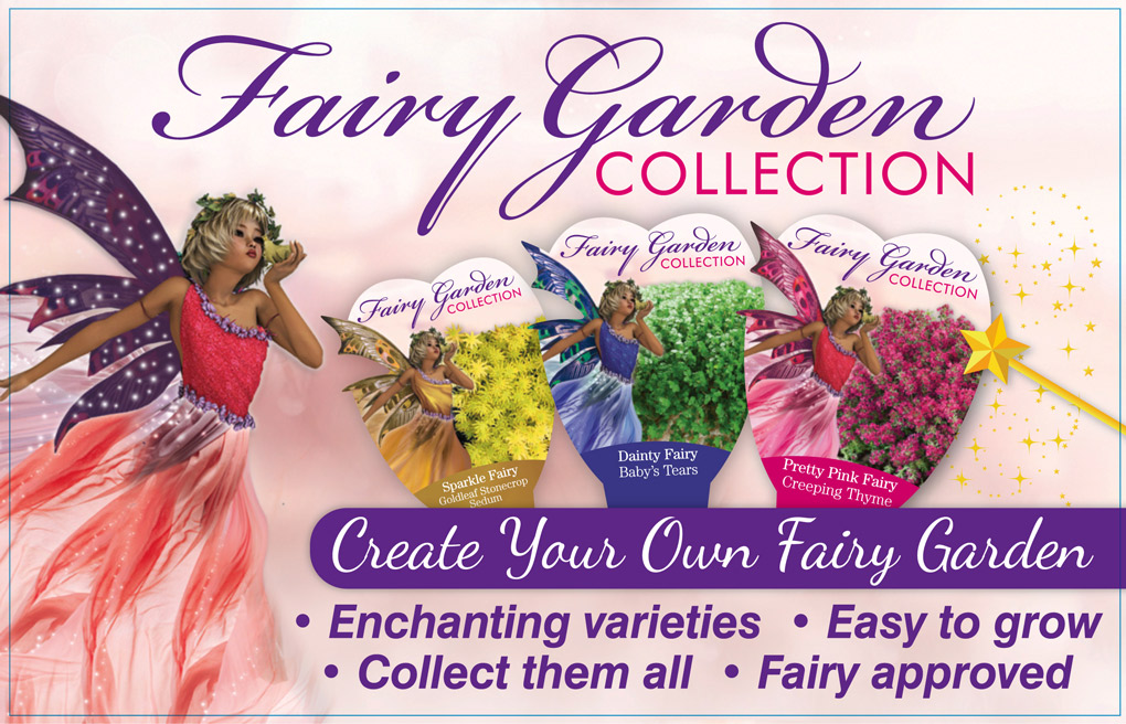 fairyGardenImage