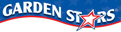 gstar