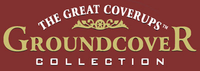 greatcoverup