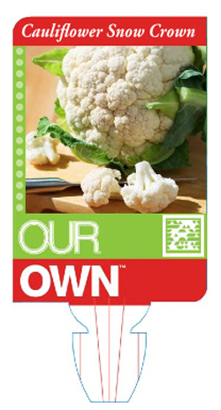 OurOwn2
