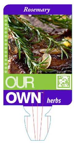 OurOwn4