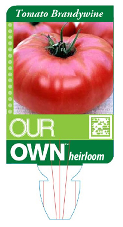 OurOwn1