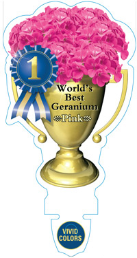 geranium