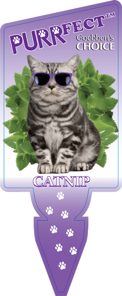 purr