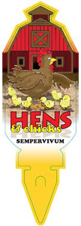 hens