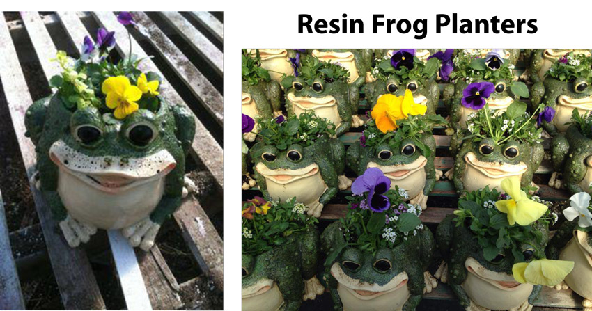 frogs