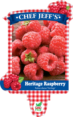 raspberry