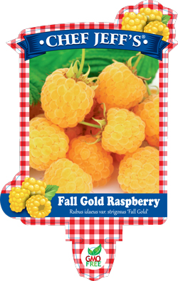YellowRaspberry