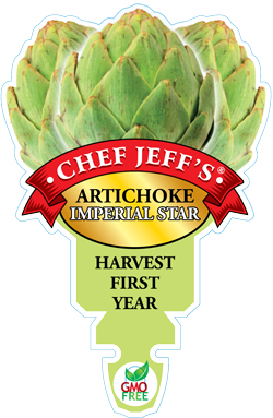 artichoke