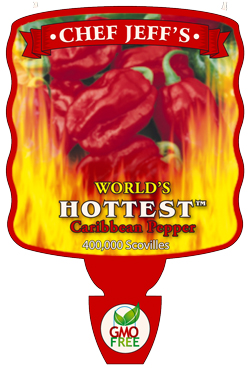 hotttt