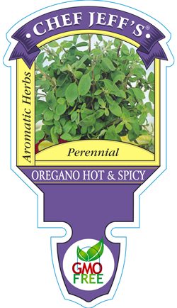 oregano