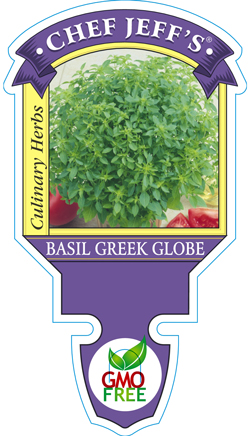 Basil