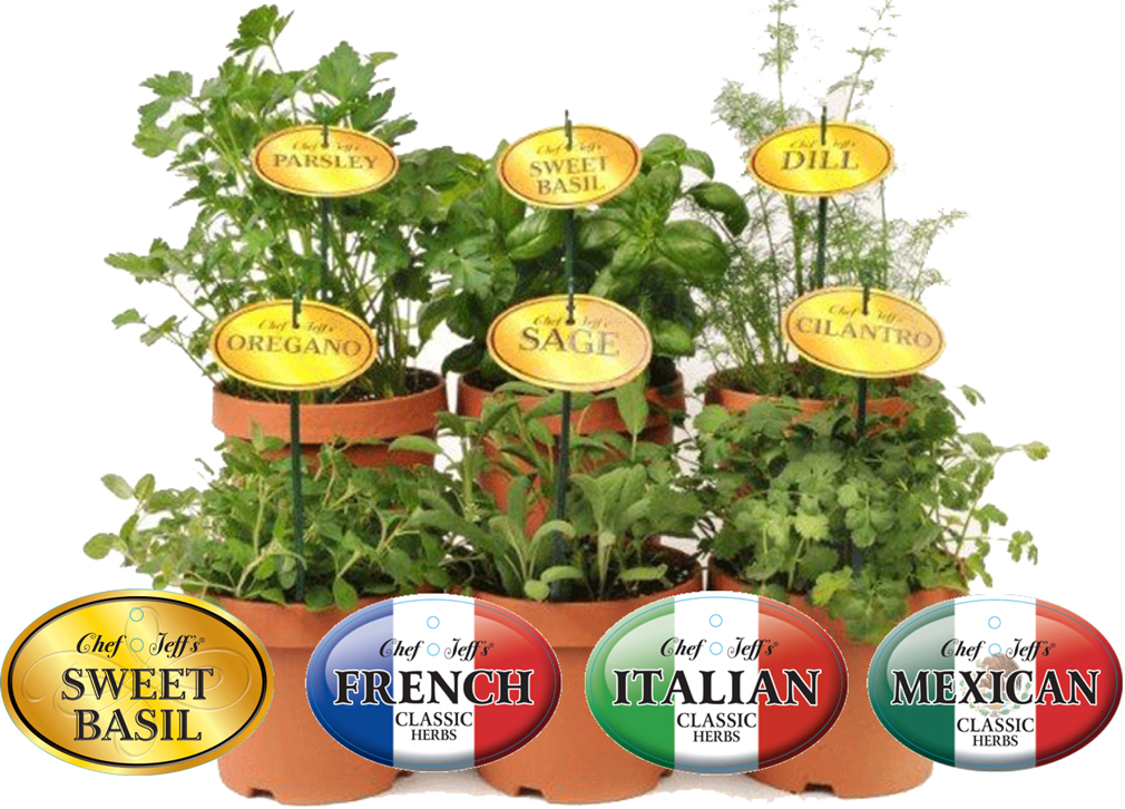 herbMedallions